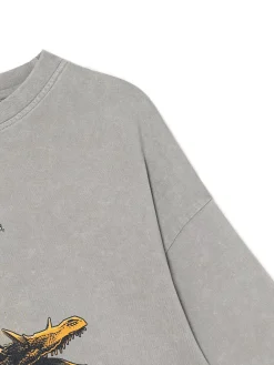 Cropp Unisex|Unisex*Koszulka Ród Smoka UNISEX szary