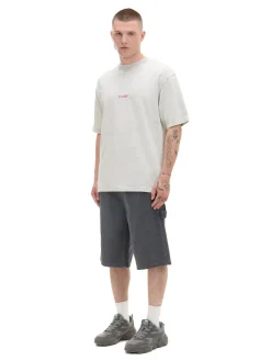 Cropp Koszulki*Koszulka z haftem i nadrukiem jasnyszary