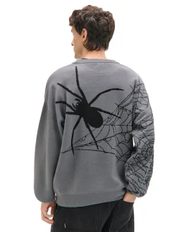 Cropp Swetry*sweter z pająkiem szary