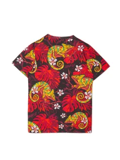 Cropp Koszulki*T-shirt z kameleonem kasztanowy